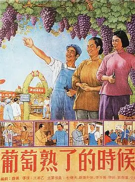 《葡萄熟了的时候》：意大利风情下的成长与救赎