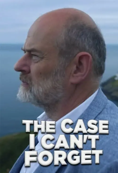《我无法忘记的案例》影评：真相迷雾下的正义追寻，谁能逃脱记忆的枷锁？