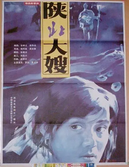 《陕北大嫂》：跨越时空交错的约定与乡村传奇，一部温暖人心的陕北风情画卷