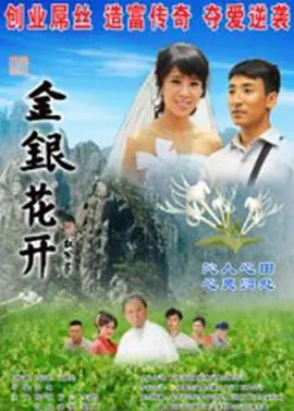 《金银花开》：乡村女性的坚韧绽放，时代洪流下的命运交响曲