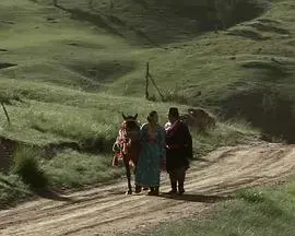 《情人湖》：迷雾笼罩的纯爱传说，爱情与命运的交织，揭秘神秘湖畔的动人故事